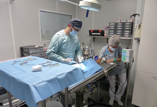 Chirurgie générale