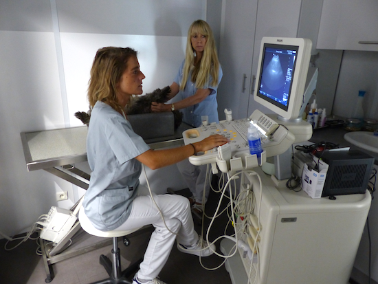 Echographie