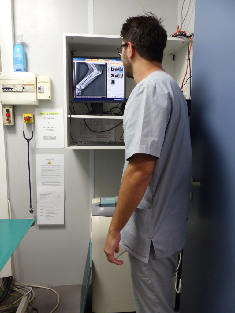 Espace Radiographie
